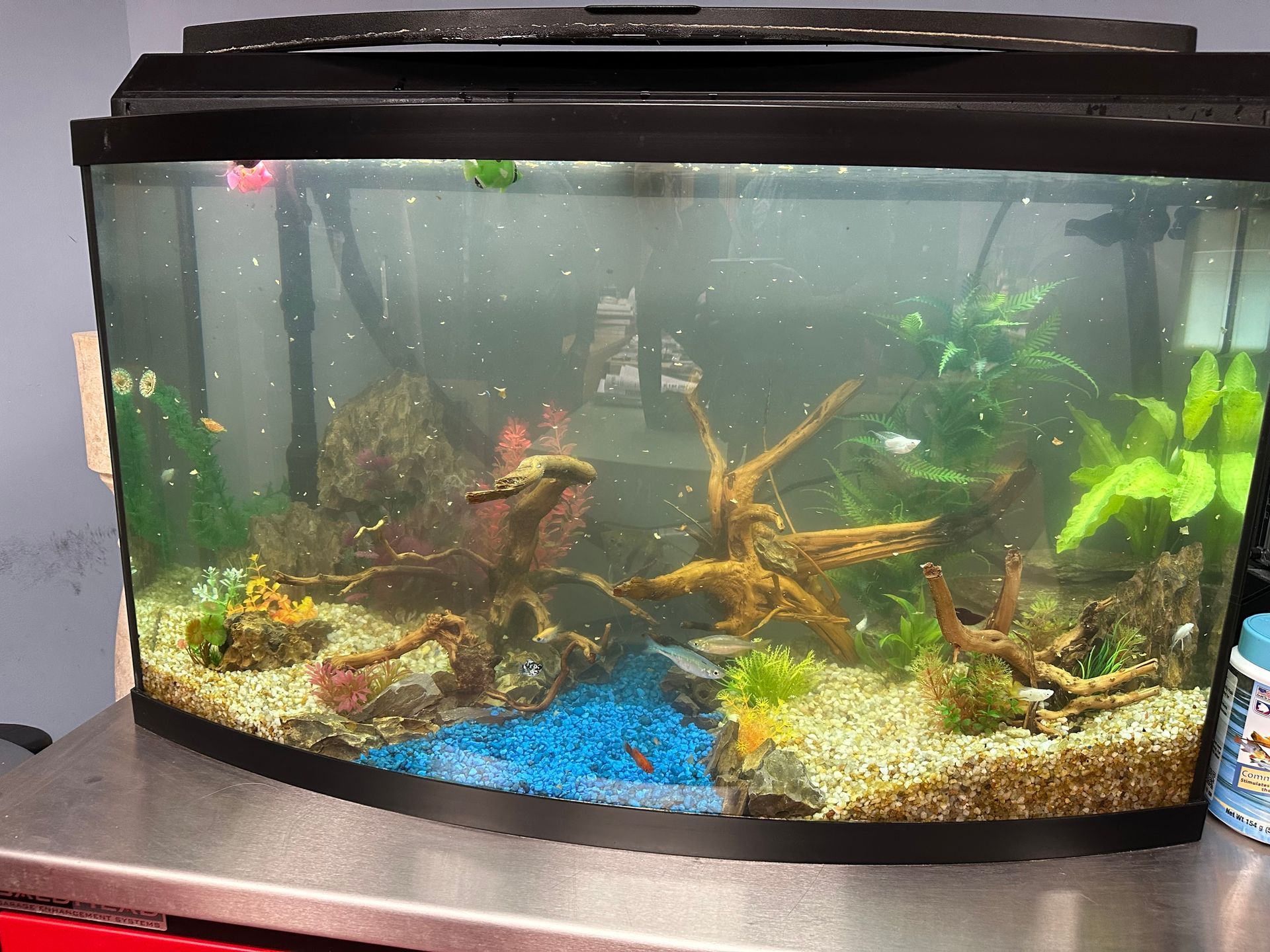 Fish tank with driftwood, plants, and colorful gravel.