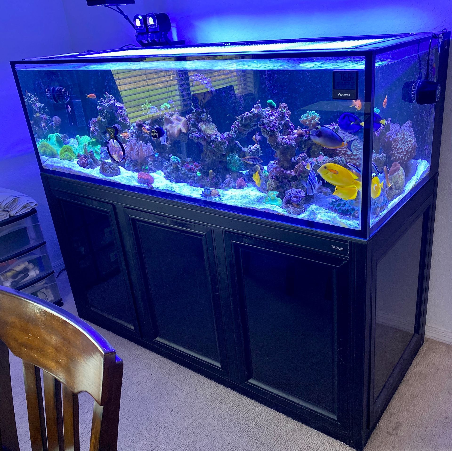 Large rectangular aquarium filled with coral and fish, sitting on a black cabinet. Blue light illuminates the scene.