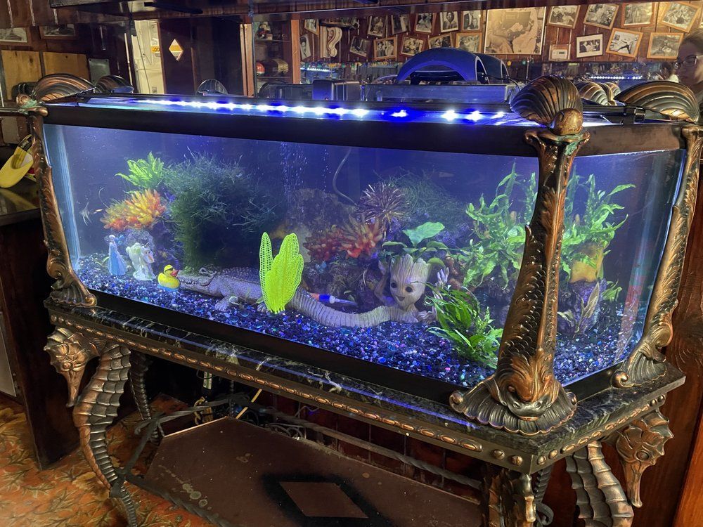 Fish tank with ornate seahorse-legged stand; inside are plants, figures and blue gravel; illuminated by blue LEDs.