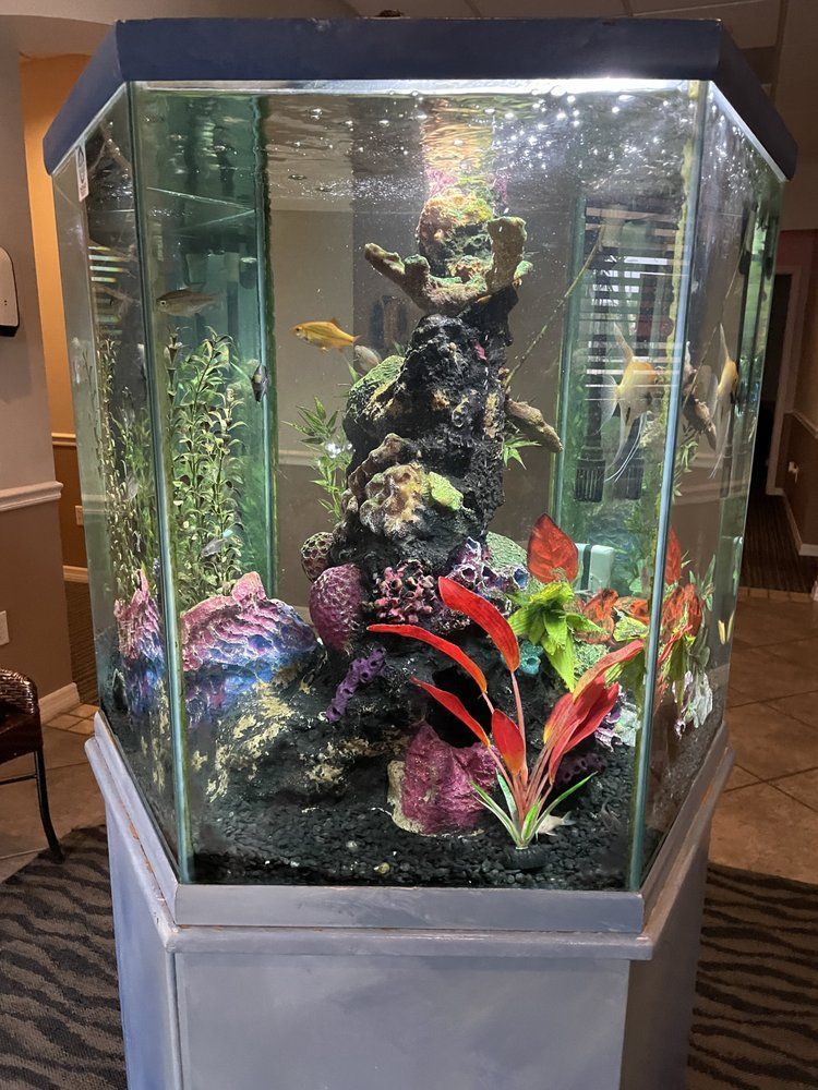 A large, hexagonal fish tank filled with plants, decorations, and fish. It has a dark stand.