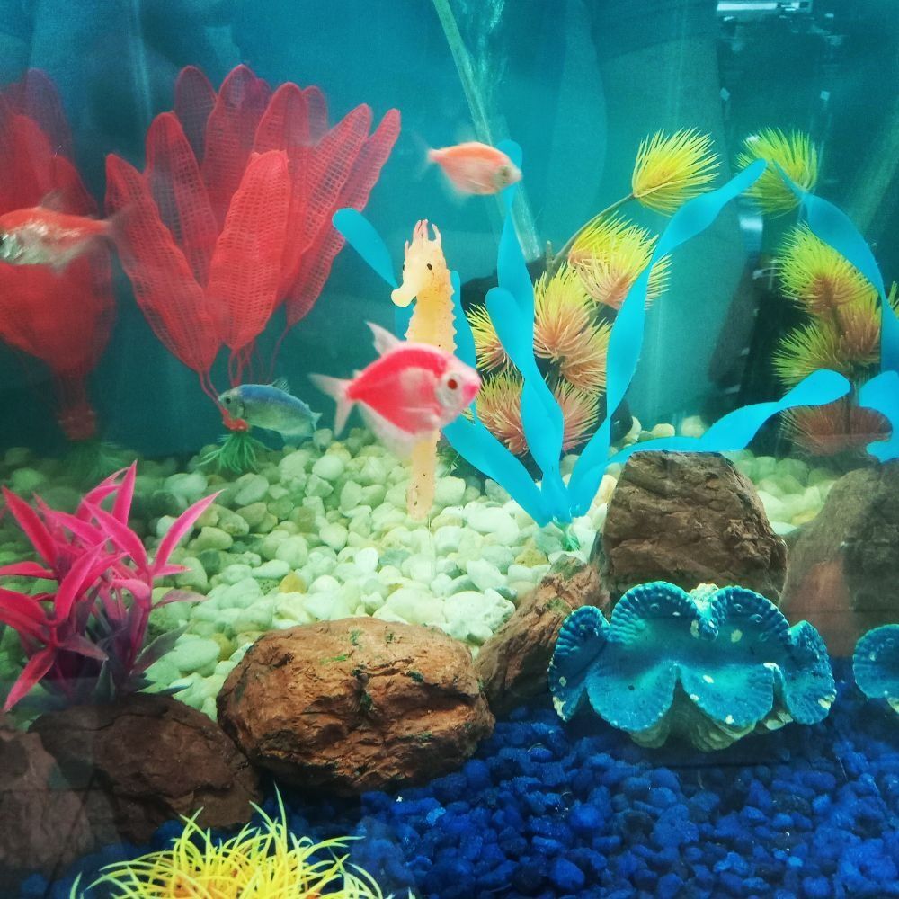 Colorful aquarium with various fish swimming among vibrant artificial plants and rocks.