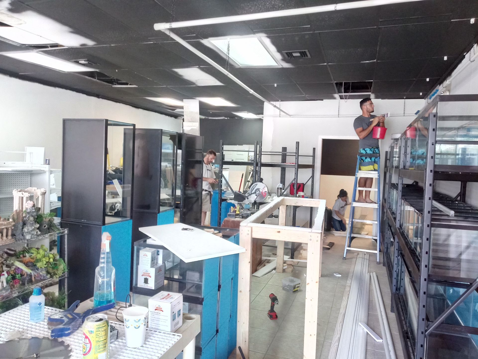 Interior of a shop under renovation, with workers on ladders. Black ceiling,