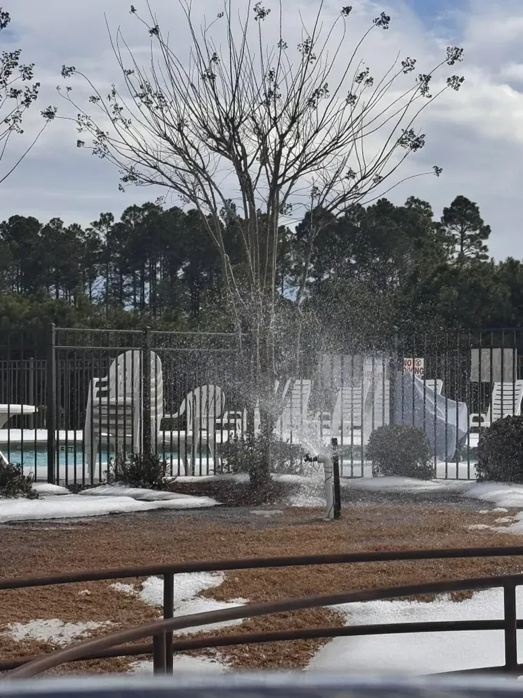 Snow-covered pool area, leafless tree, black fence, and trees in background under a cloudy sky.