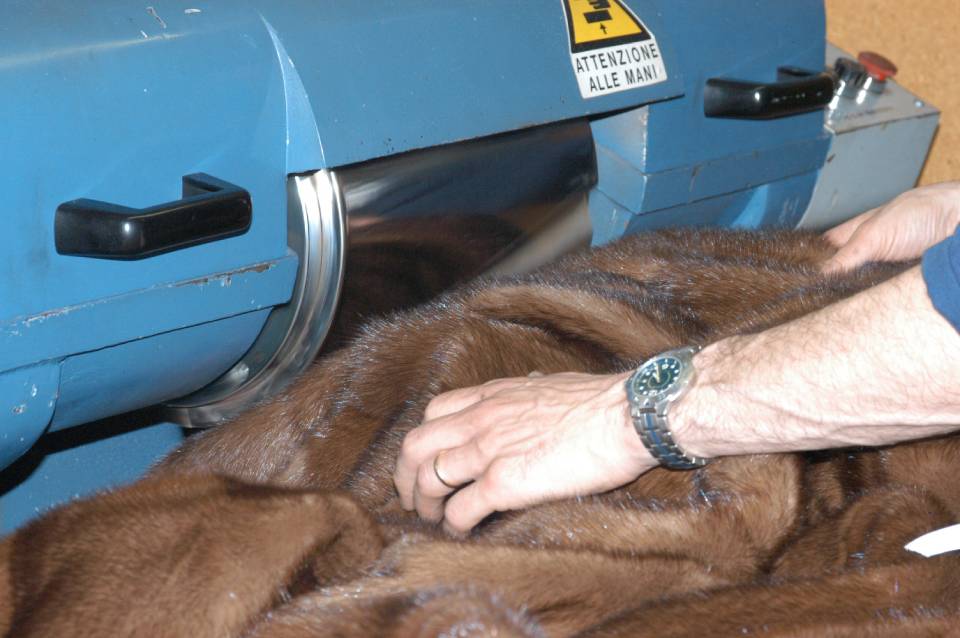 Lavaggio di pellicce