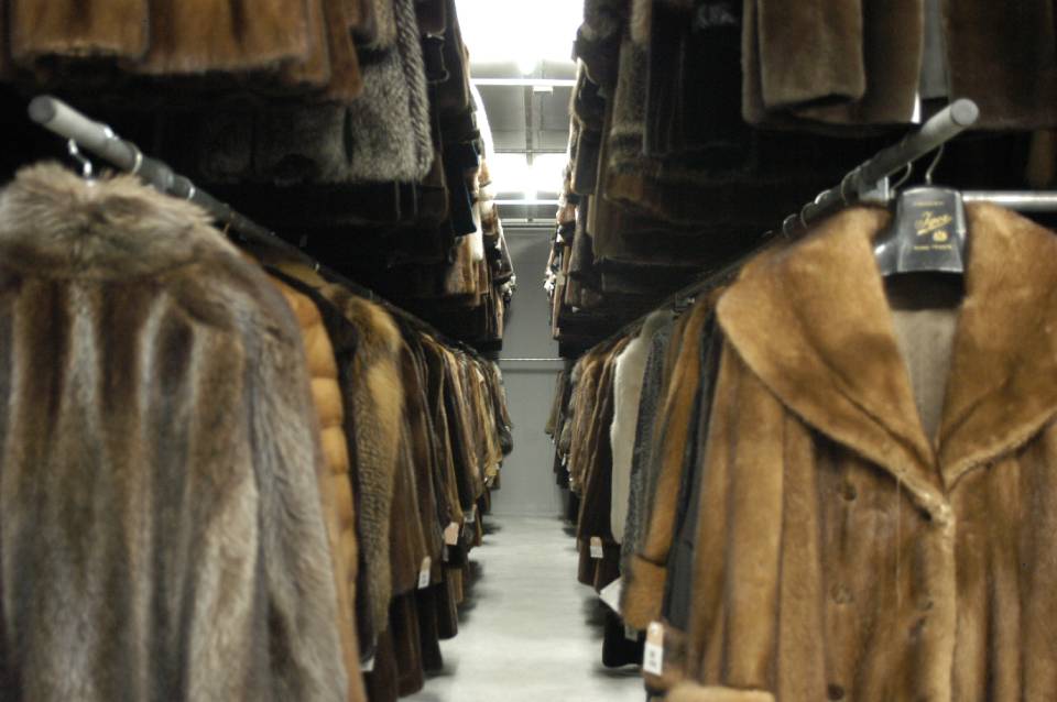 Lavaggio di pellicce