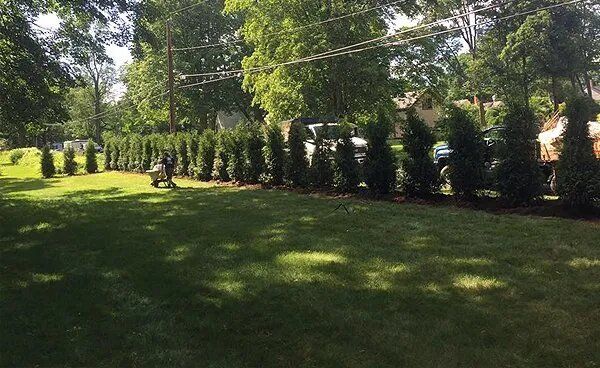 Wide Lawn | Springfield, MA | Thomas P. Ryland Co.