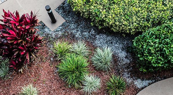 Tropical Landscaping | Springfield, MA | Thomas P. Ryland Co.