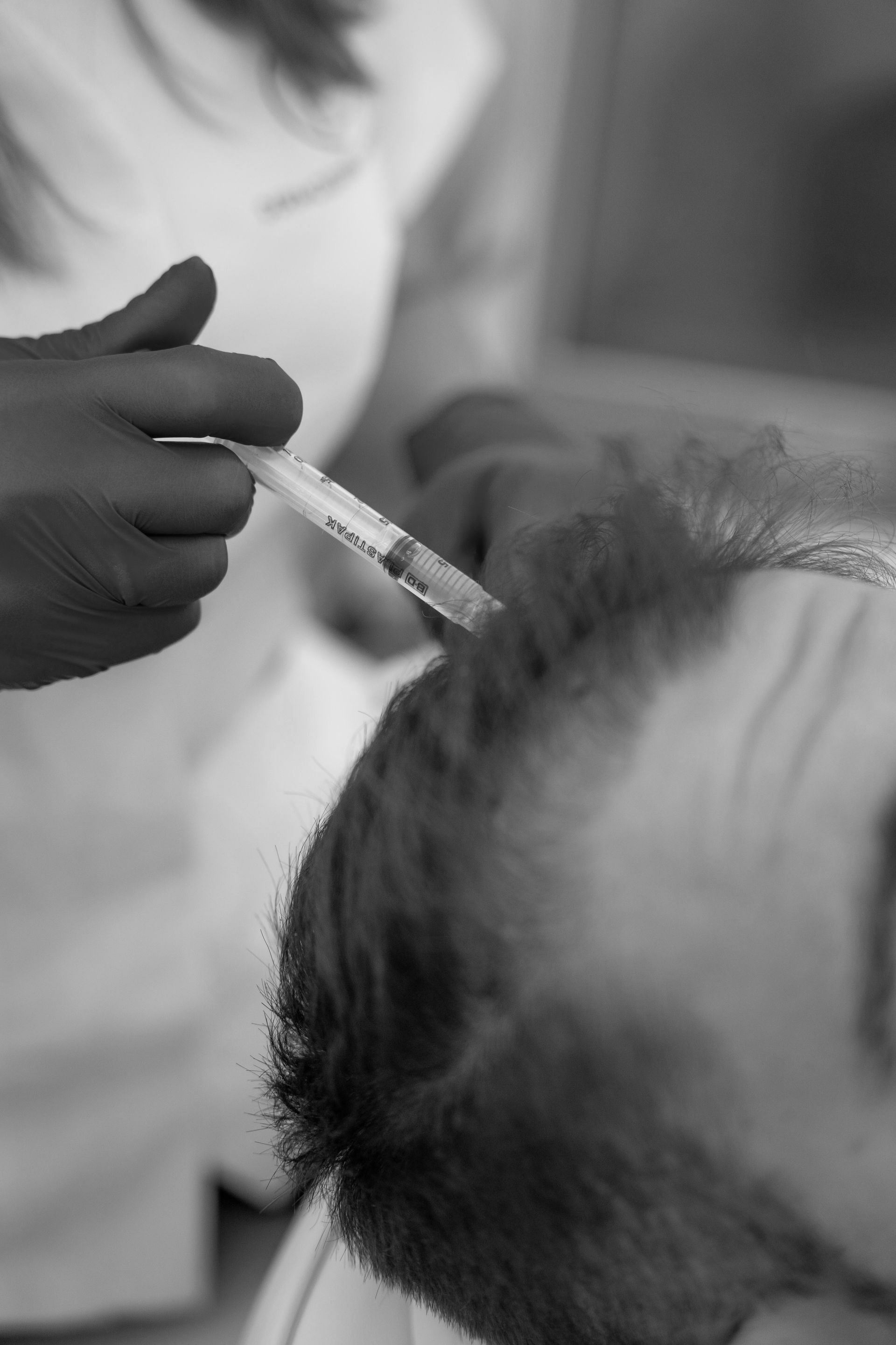 Una fotografía en blanco y negro de una persona recibiendo una inyección en el cabello.