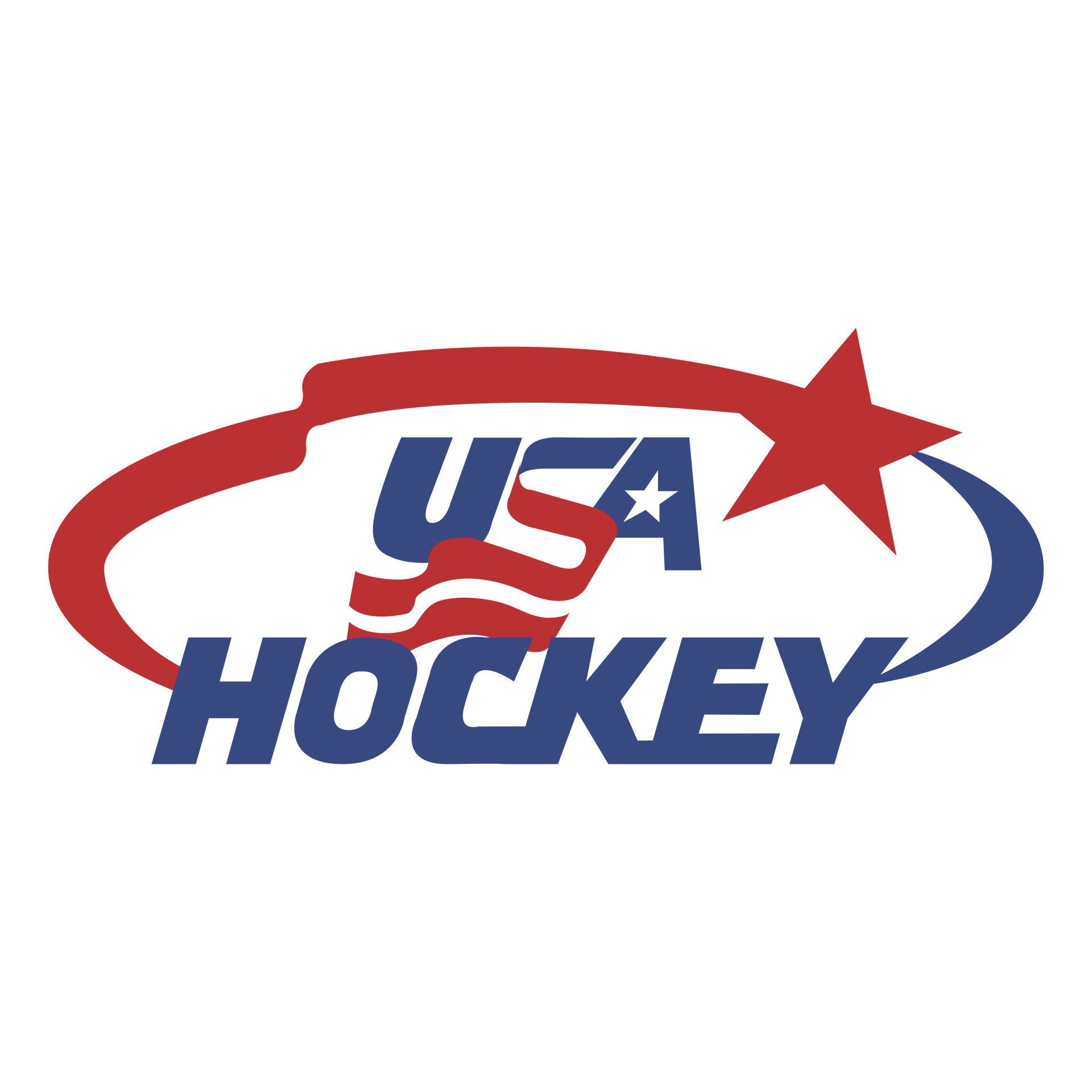 a logo for usa hockey with a star in the middle