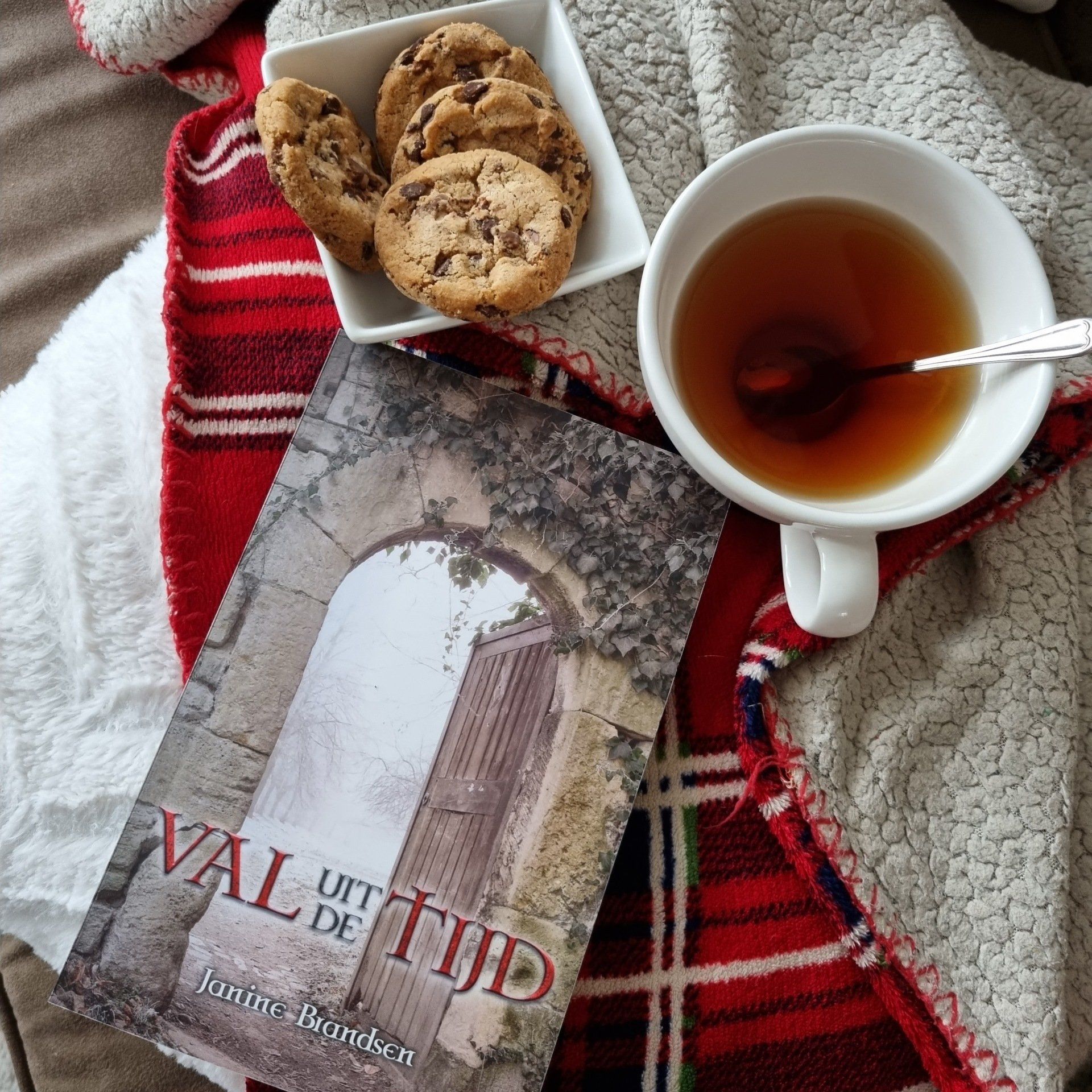 Boek Val uit de tijd met dekentje op de bank met thee en koekjes