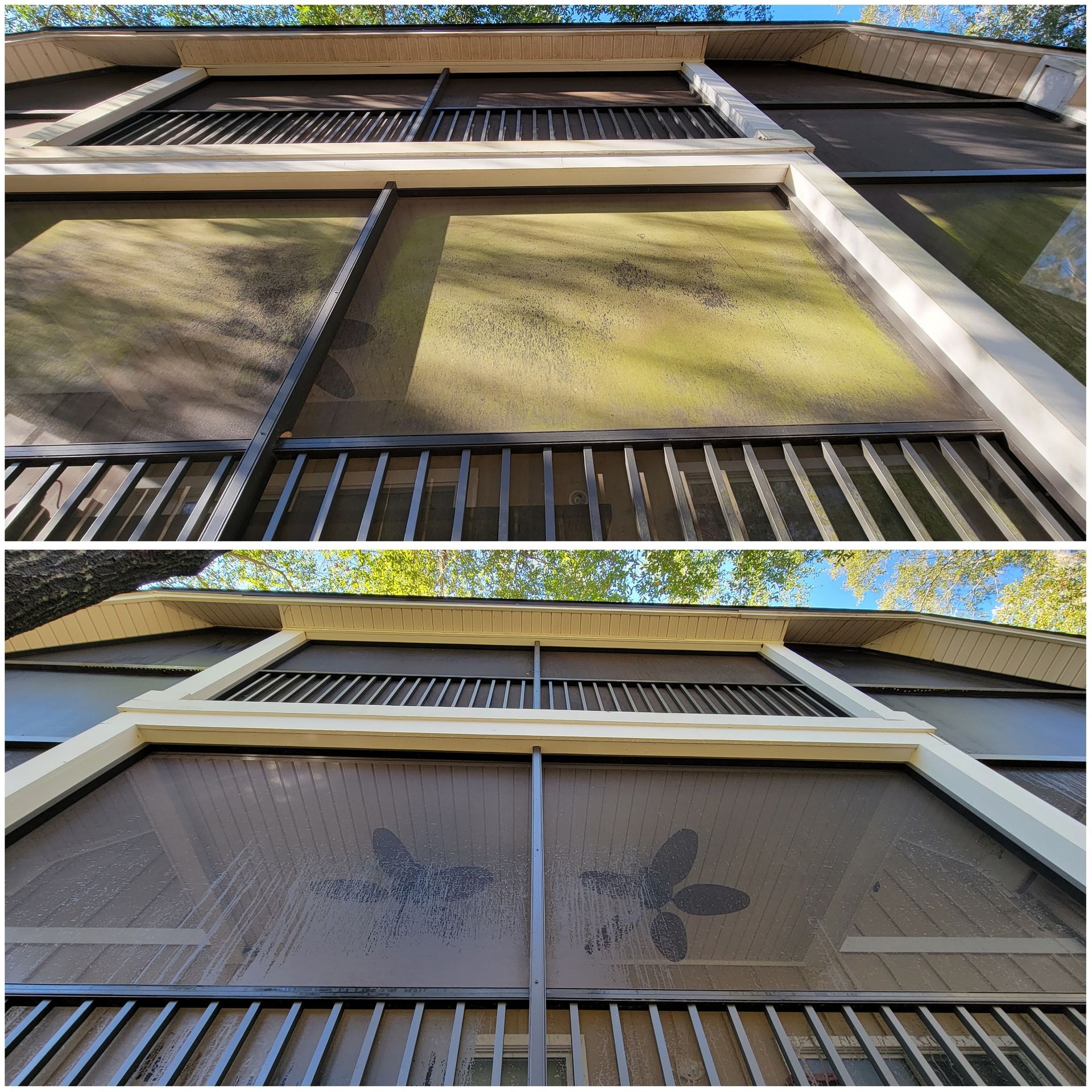Comparison: Dirty, algae-covered screens and railing above a clean screen and railing.