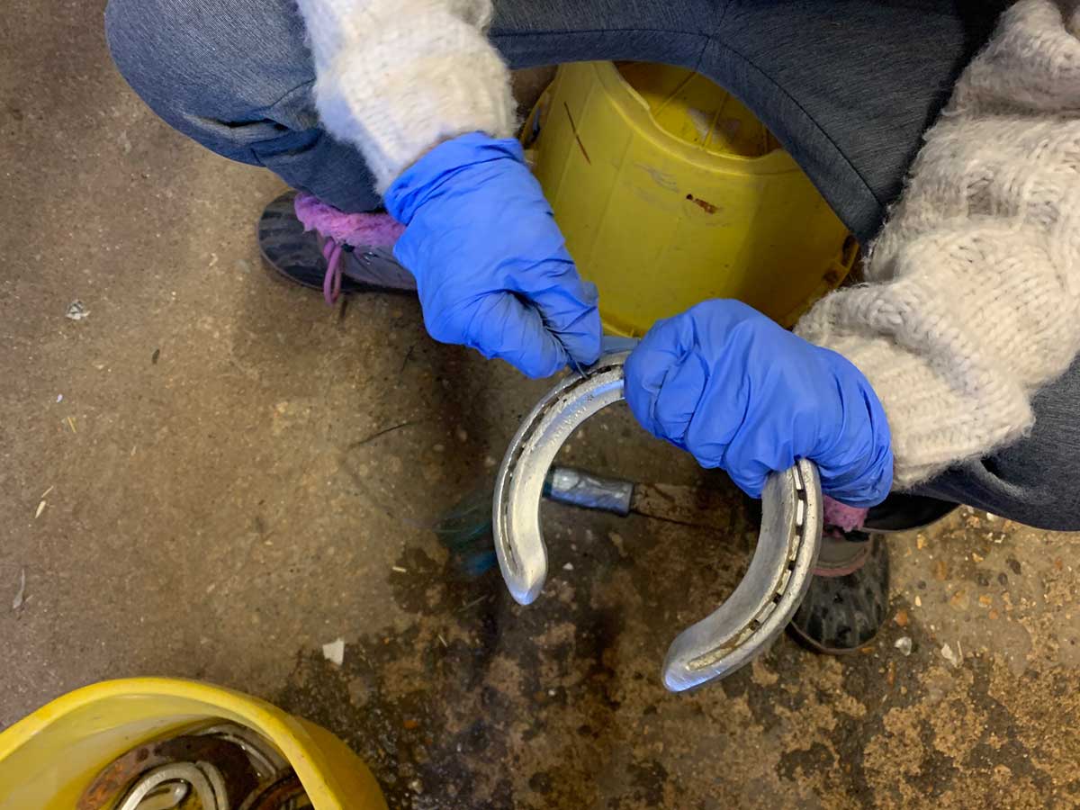 a person wearing blue gloves is working on a horseshoe