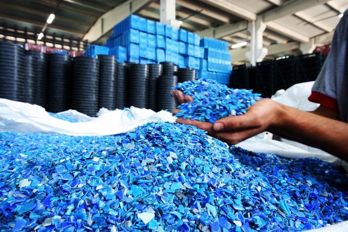 A person is holding a pile of blue plastic chips