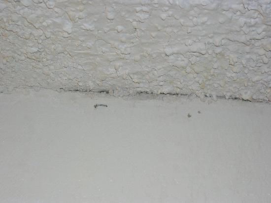 A close up of a white wall with a ceiling in the background.