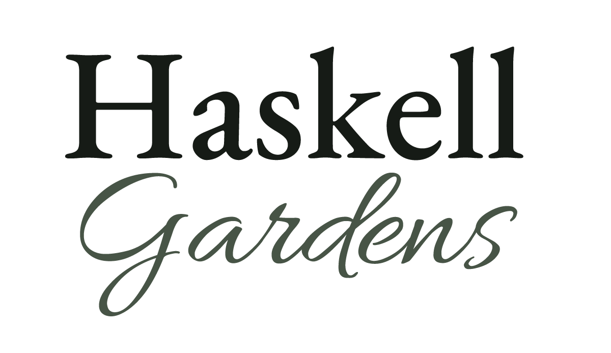 Company Logo - Click to go to Home Page