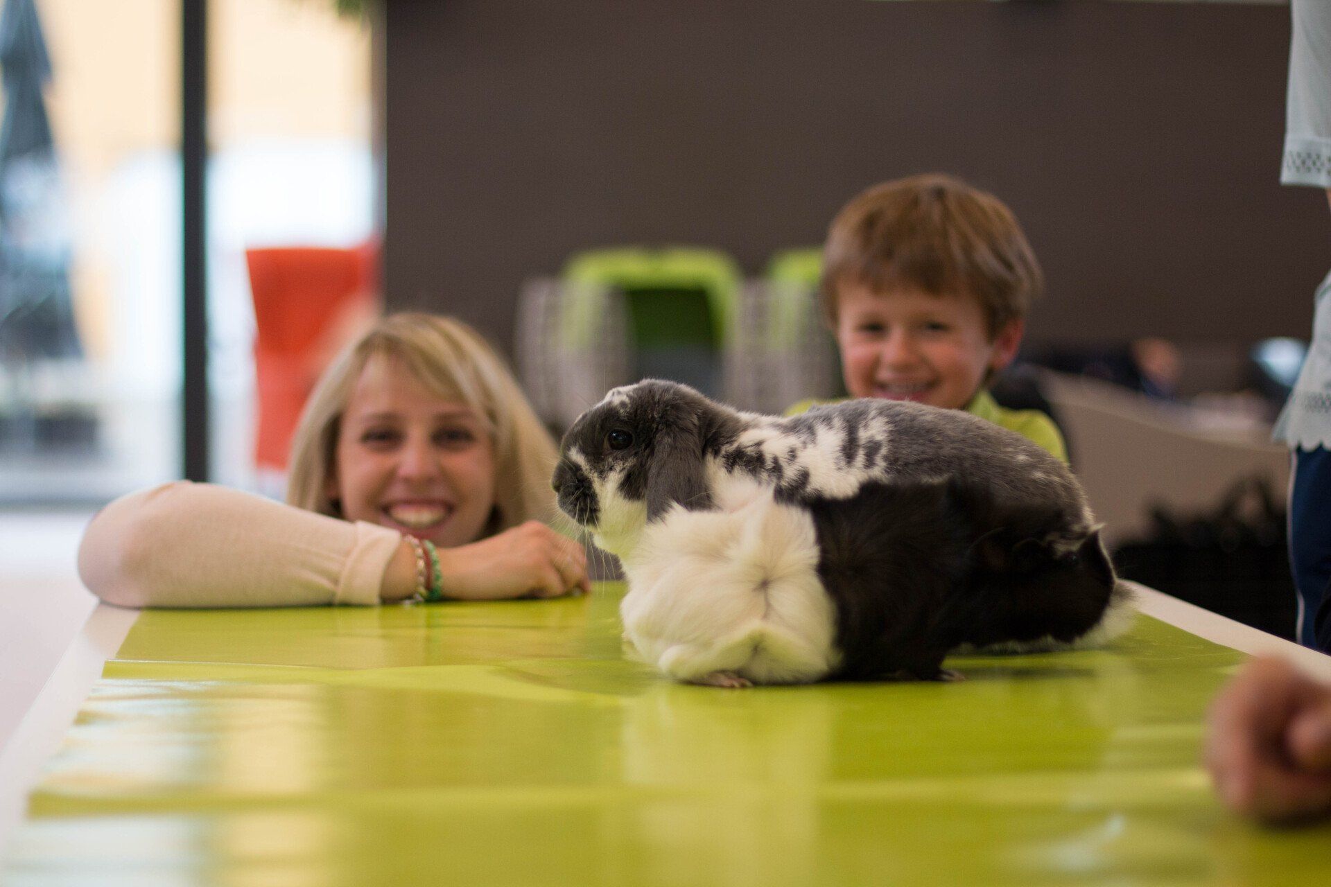 Une femme et un garçon sont assis à une table avec un lapin dessus.