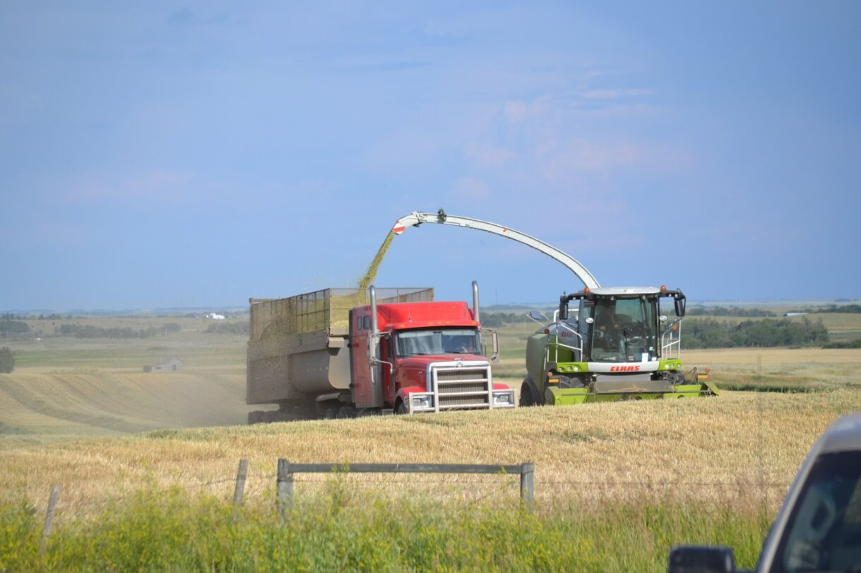 A red semi-truck being loaded with harvested grain by a green forage harvester in a field.