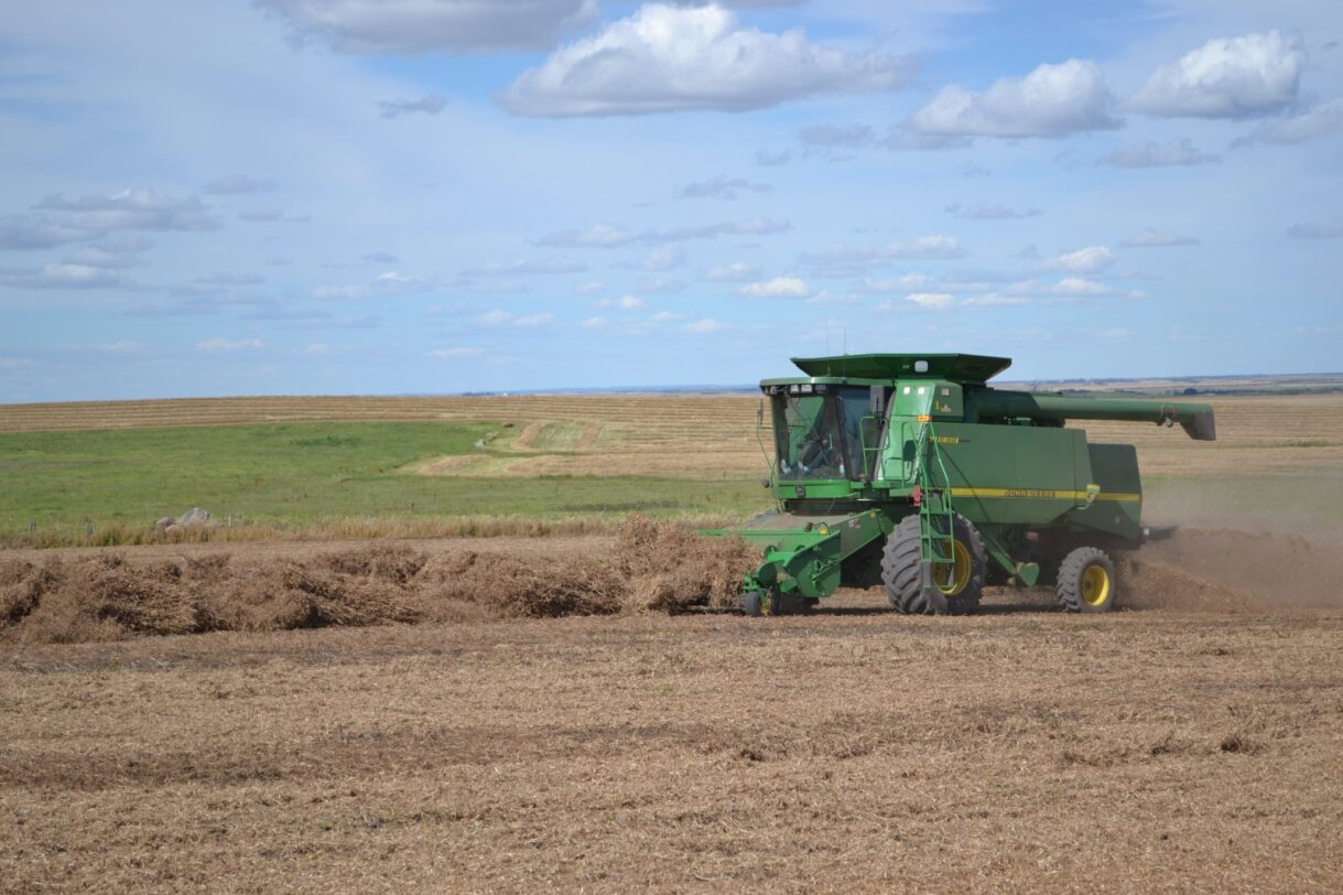 Green combine harvesting a crop in a field under a partly cloudy sky at Coro View Farms Ltd.