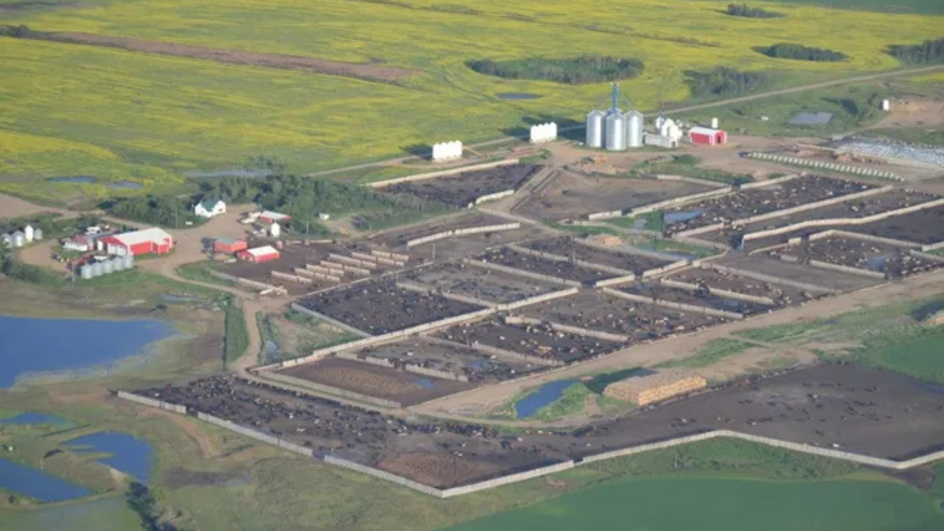 Coro View Farms Ltd. Enterprises and Farming Operations
