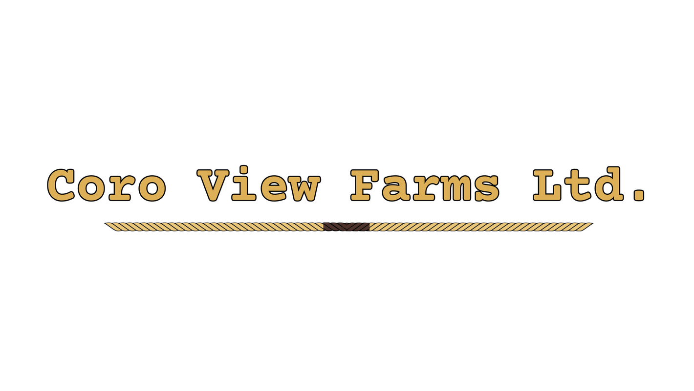 Logo for Coro View Farms Ltd., text in brown, separated by a gold rope-like line with a dark brown rectangle.