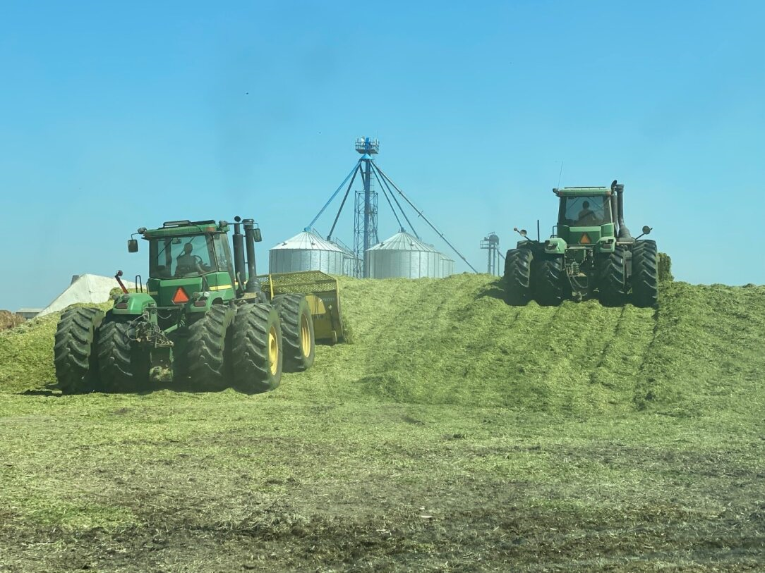 Two green tractors hauling and packing silage on a farm field near silos under a blue sky.