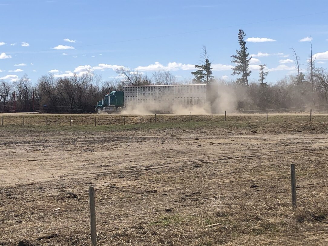 Dusty truck on dirt road next to a field, trees, and fence on a sunny day at Coro View Farms Ltd.