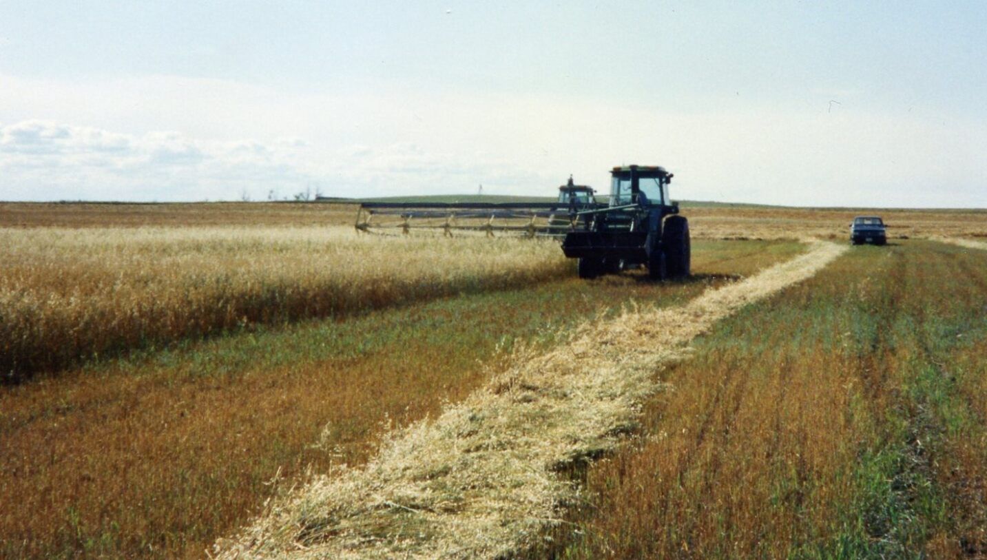 A tractor with a hay rake in a field, another tractor in the distance.