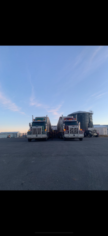 Two semi-trucks parked on asphalt, with a blue sky background. Silos are visible at Coro View Farms Ltd.