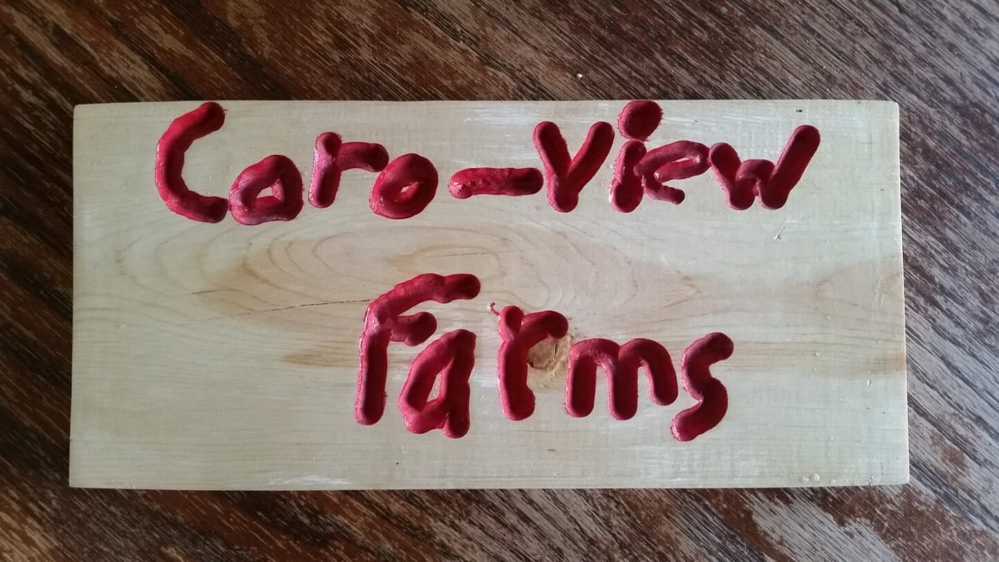 Coro View Farms Ltd Used Equipment for Sale