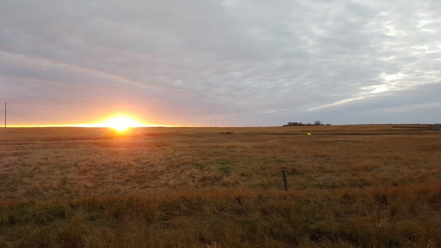 Sunset over a vast field of dry grass, with a cloudy sky at Coro View Farms Ltd.