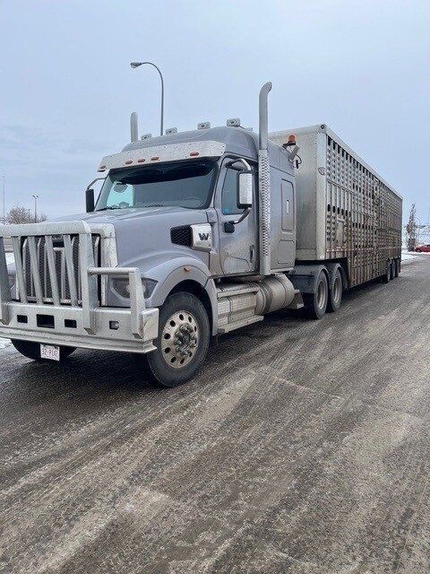 Gray semi-truck with cattle trailer parked on a snowy road, under a cloudy sky at Coro View Farms Ltd.