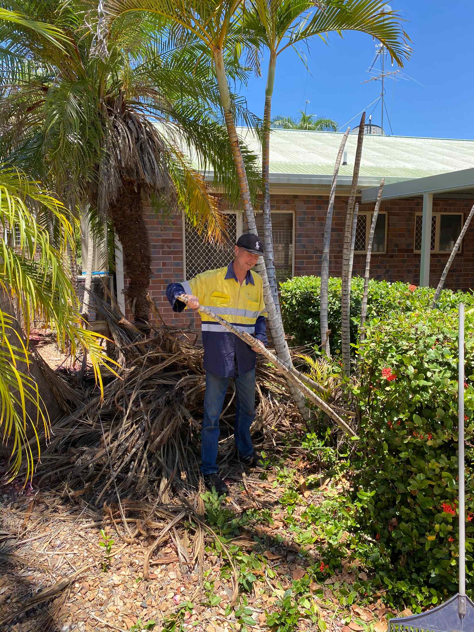 Man Cleaning Yard of The Tree — Gallery in Mount Isa, QLD