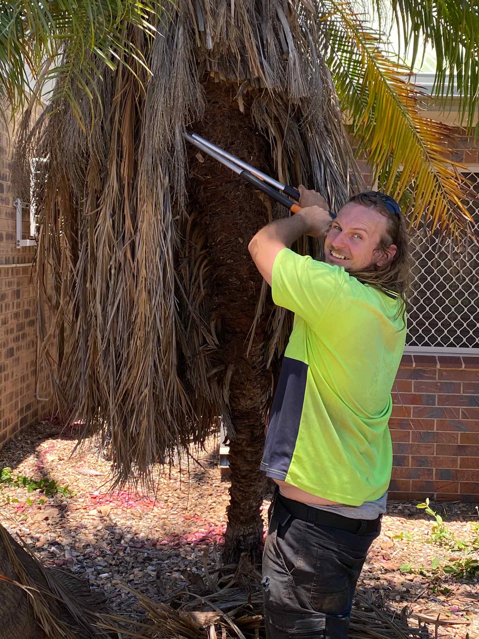 Tree Trimming 3— Gallery in Mount Isa, QLD