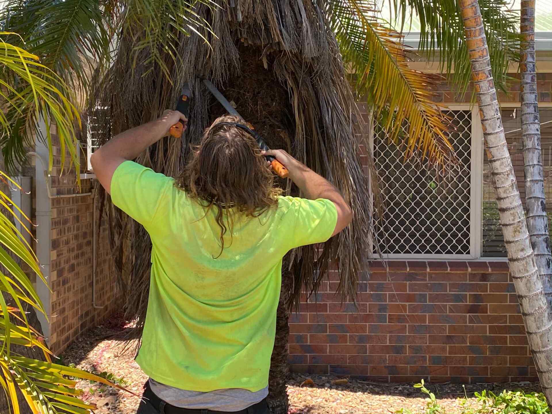 Tree Trimming 2— Gallery in Mount Isa, QLD