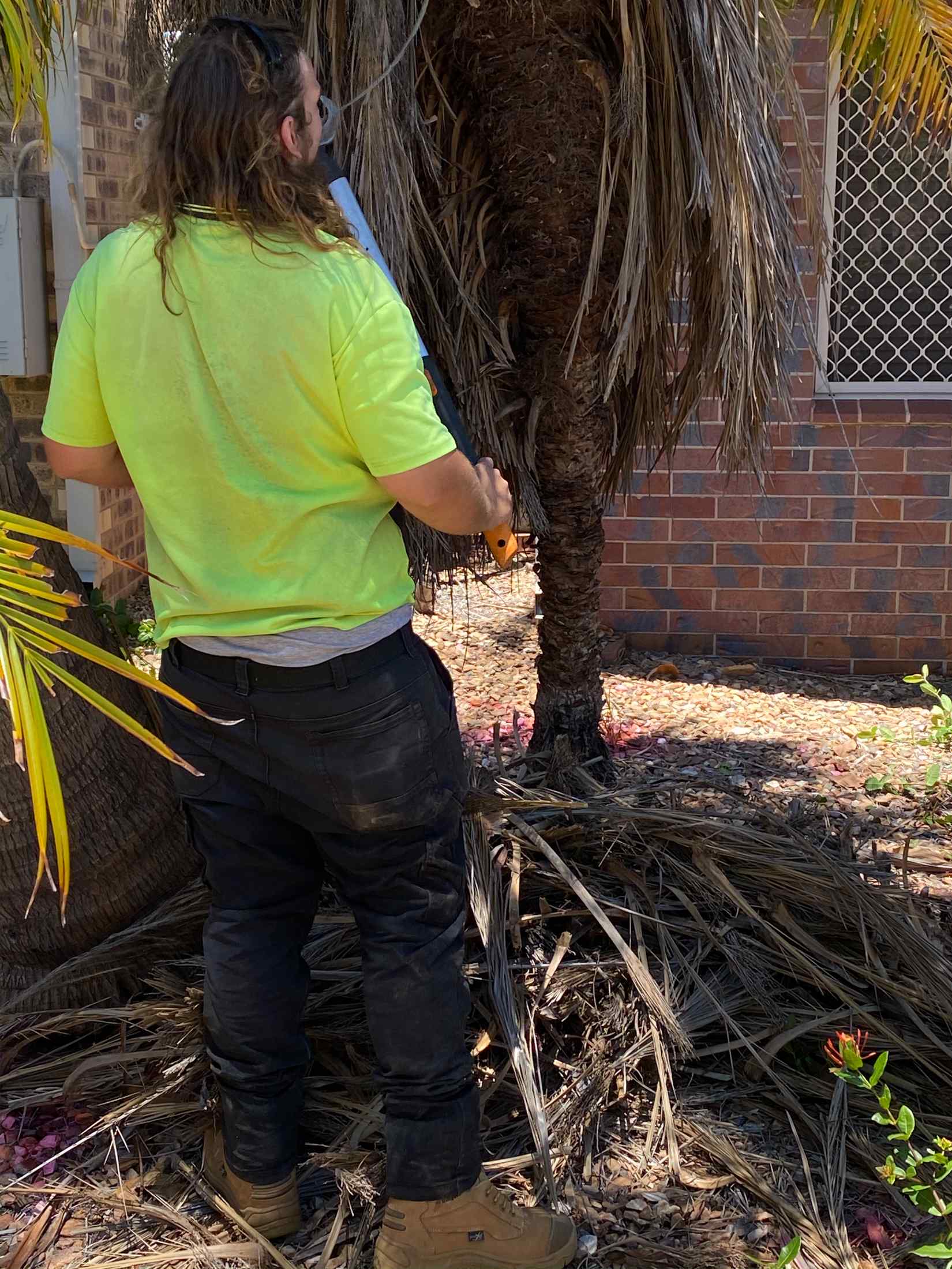 Tree Trimming — Gallery in Mount Isa, QLD