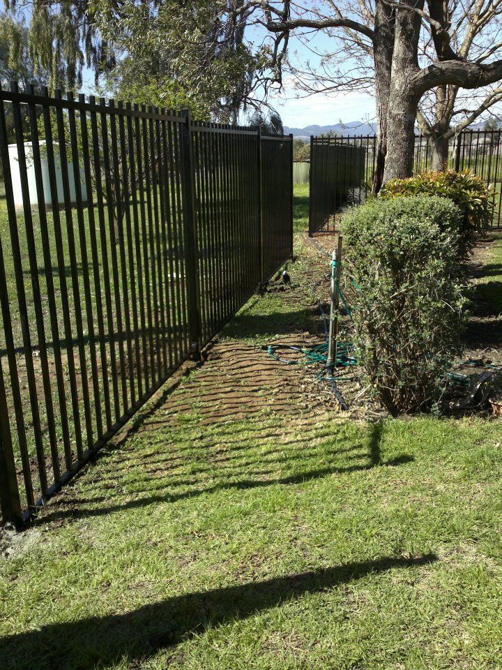 A Black Metal Fence Surrounds A Lush Green Grass Area — Anne & Ron Johnson Fencing in Werris Creek, NSW