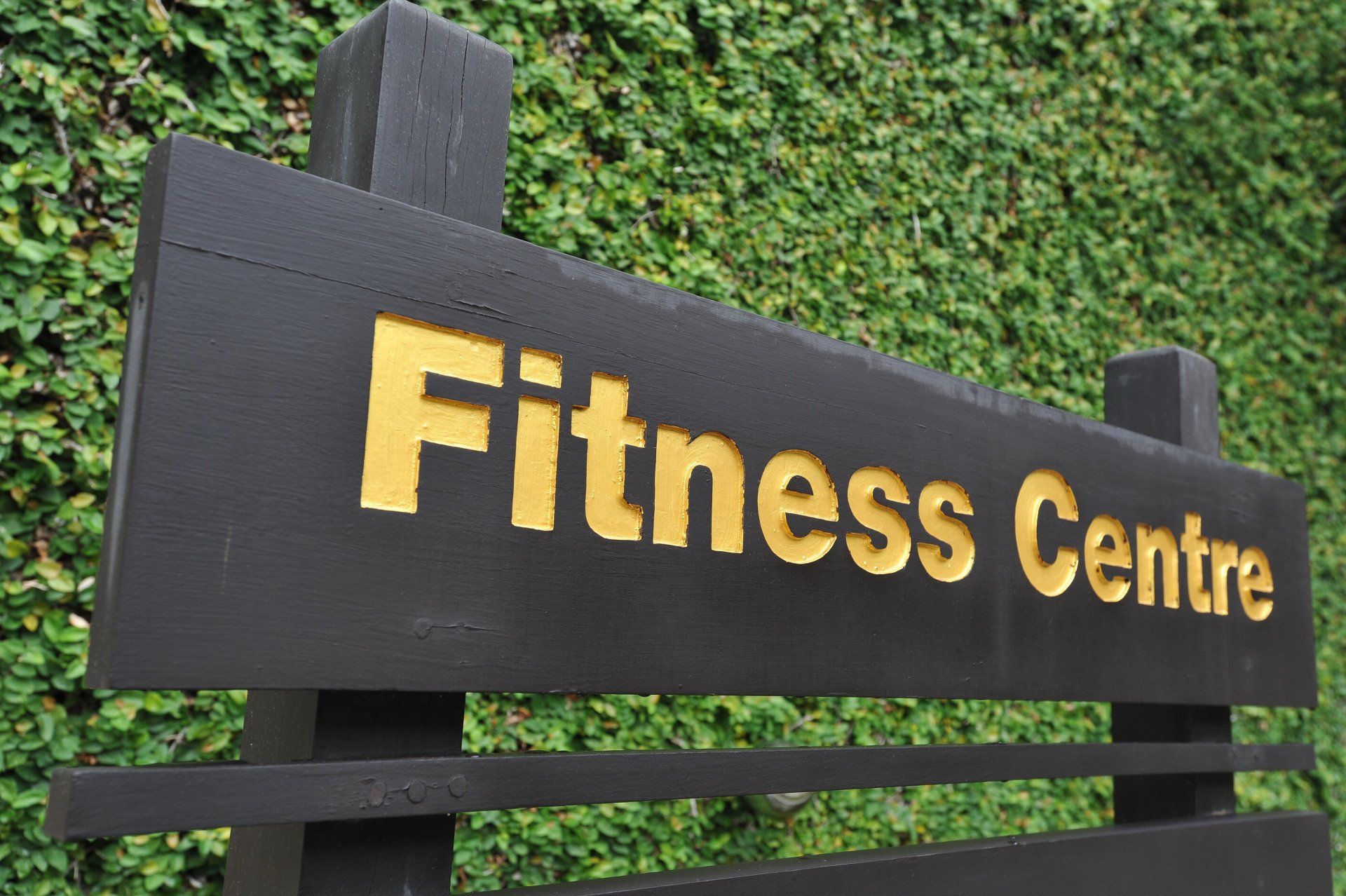 Black sign reading “Fitness Centre” against a green ivy wall.