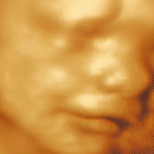 Abc Bebé Ecografías Médicas Ltda, ecografía.