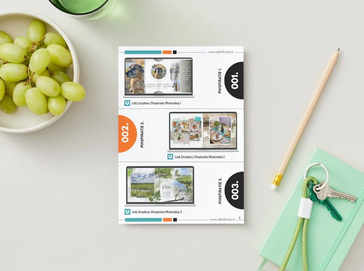 PDF Overzicht albelliCLUB Pinspiraties