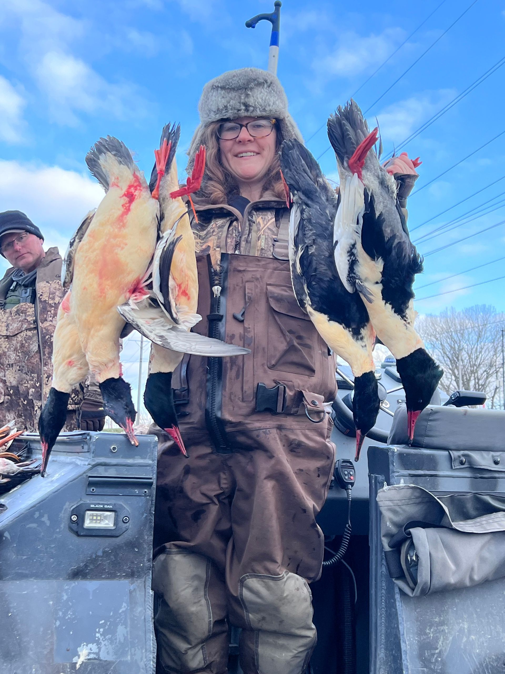 merganser hunting guide lake erie