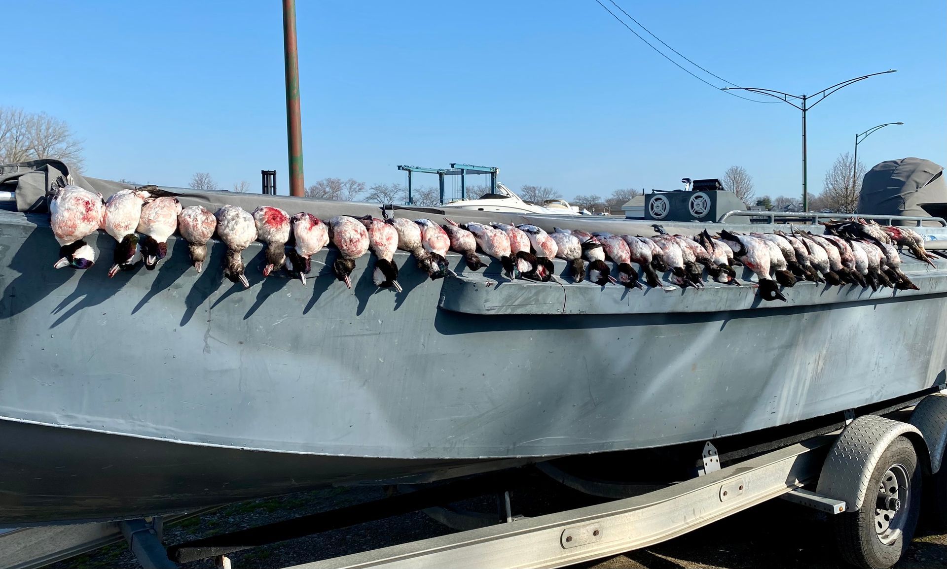 guided waterfowl hunting lake erie