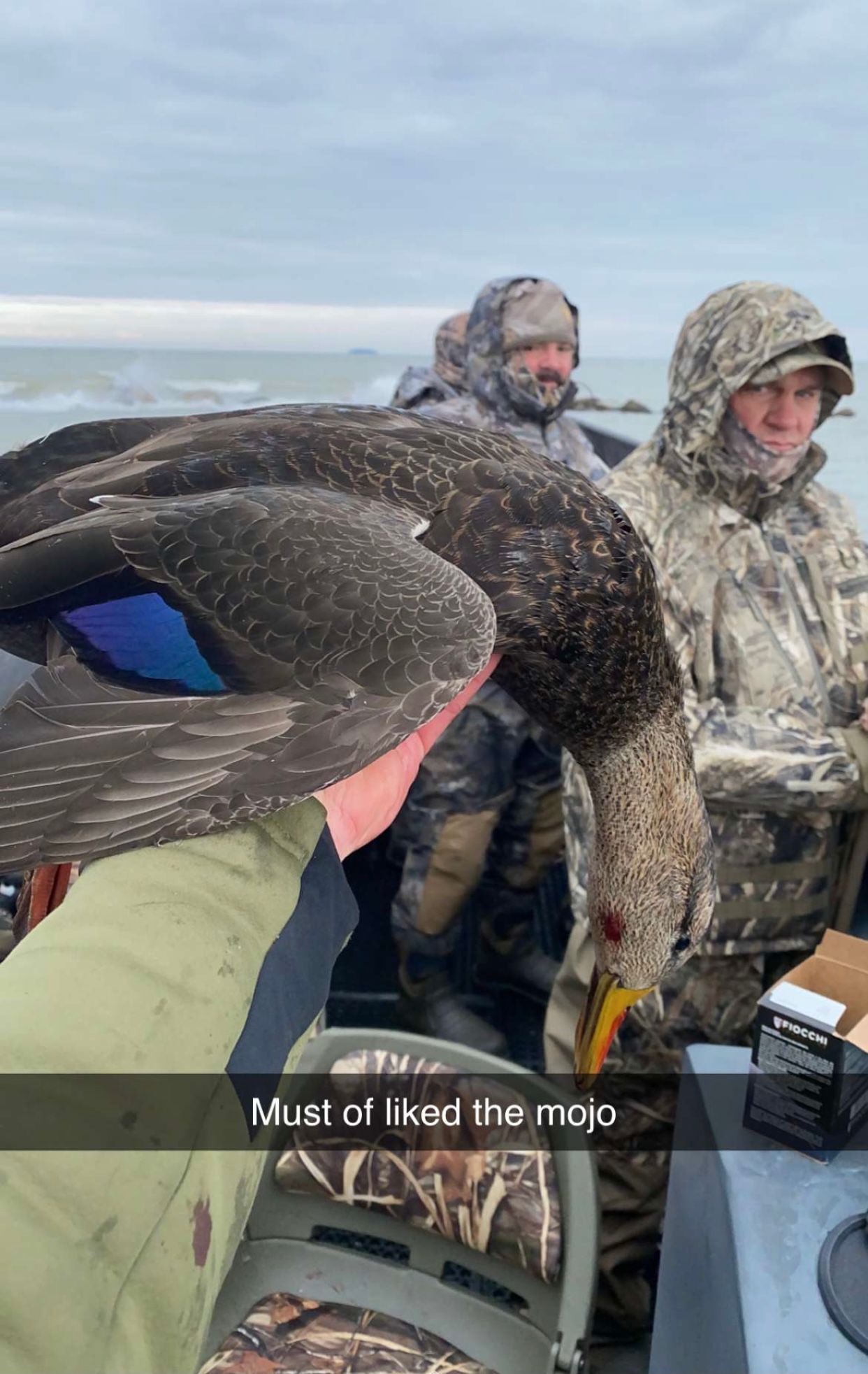 A man is holding a bird on a boat.