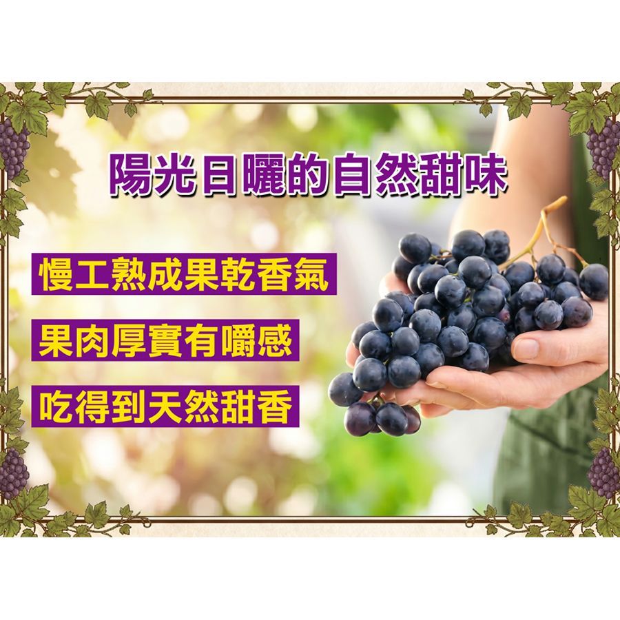 【豐一生活網】超大無籽葡萄乾-買十送二
