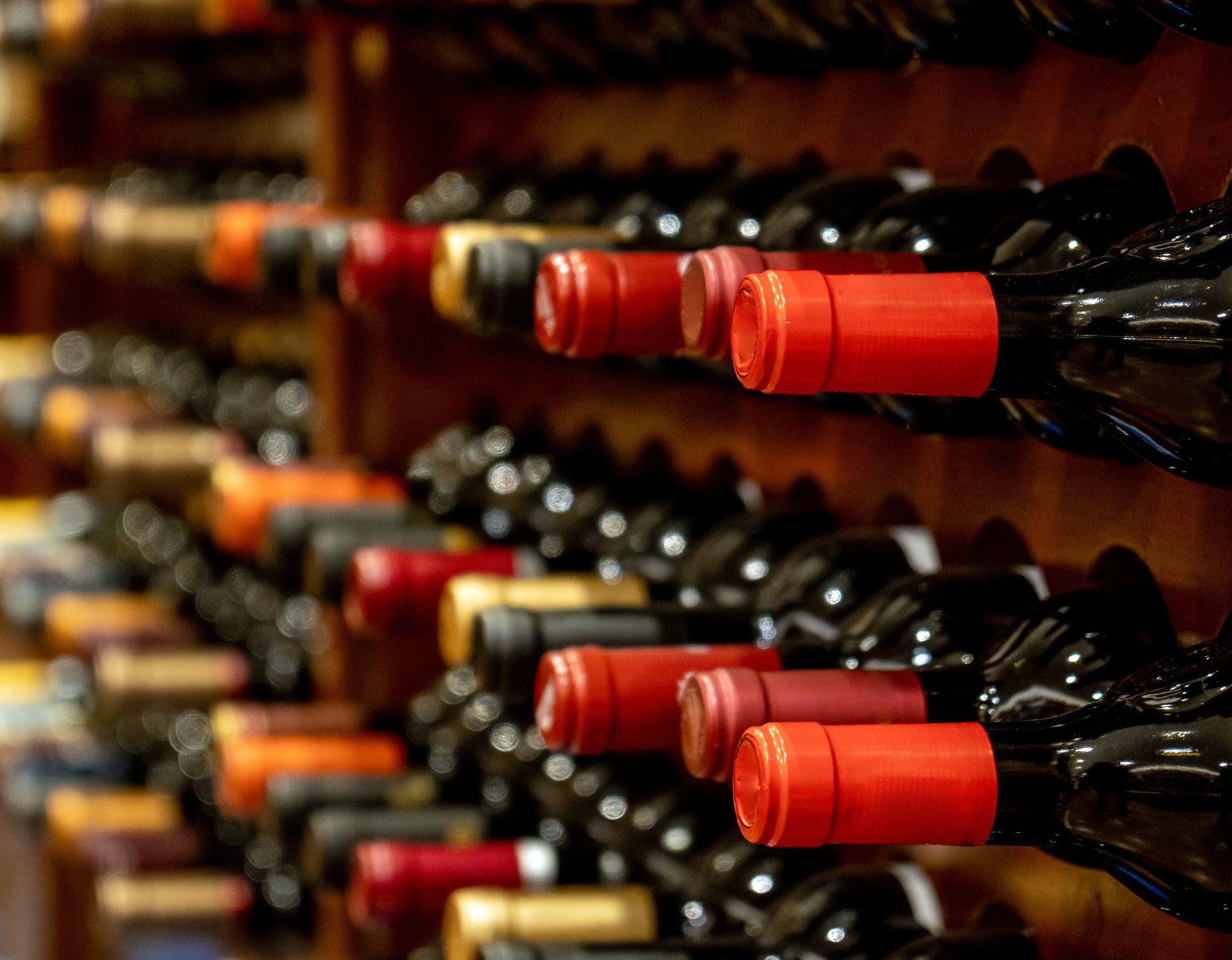 Cantina di vini