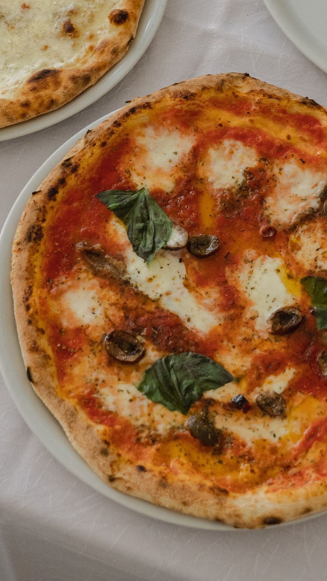 pizza margherita