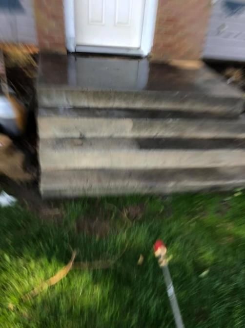 A dog is standing on the steps of a house.