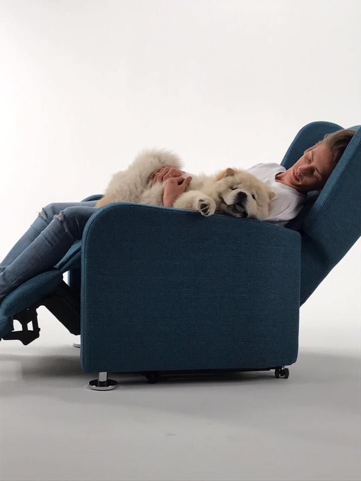 Donna e soffice cane bianco si rilassano su una poltrona reclinabile, entrambi addormentati.