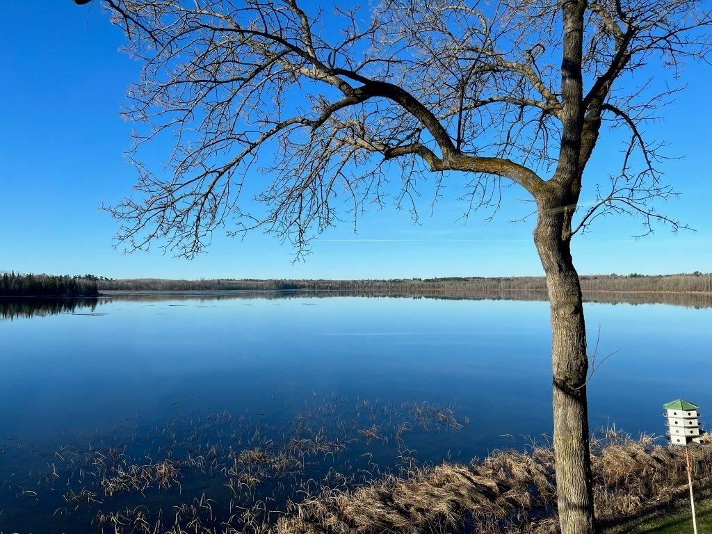 lake in spring