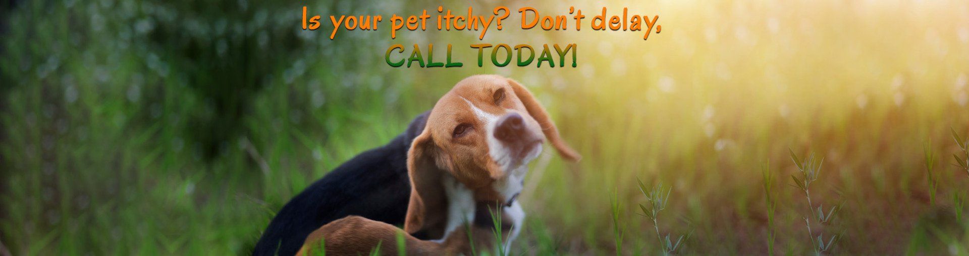 Vet Clinic Rapid City & Black Hills, SD Dakota Hills Veterinary Clinic