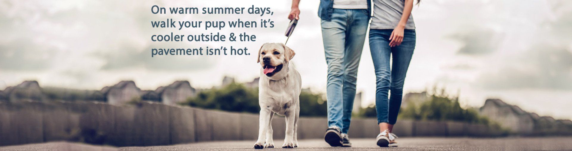 Vet Clinic Rapid City & Black Hills, SD Dakota Hills Veterinary Clinic